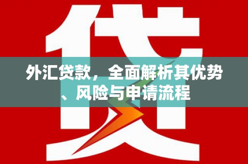 阿城外汇贷款，全面解析其优势、风险与申请流程