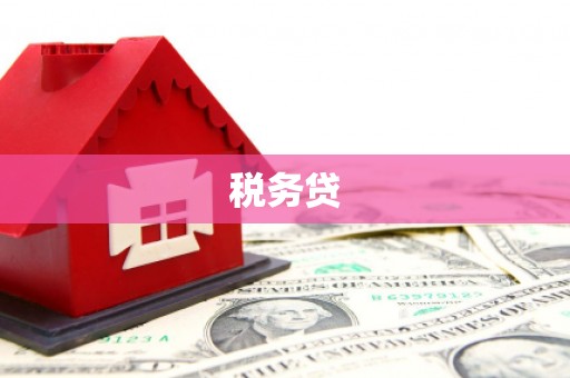 阿城税务贷