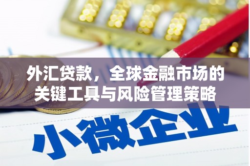 阿城外汇贷款，全球金融市场的关键工具与风险管理策略