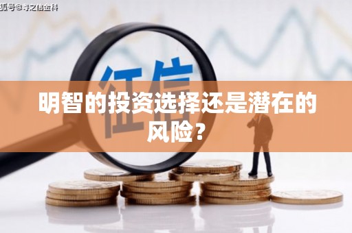 阿城明智的投资选择还是潜在的风险？