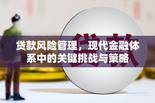阿城贷款风险管理，现代金融体系中的关键挑战与策略