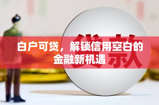 阿城白户可贷，解锁信用空白的金融新机遇