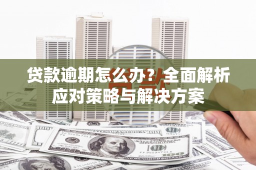 阿城贷款逾期怎么办？全面解析应对策略与解决方案