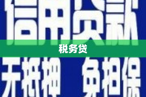 阿城税务贷
