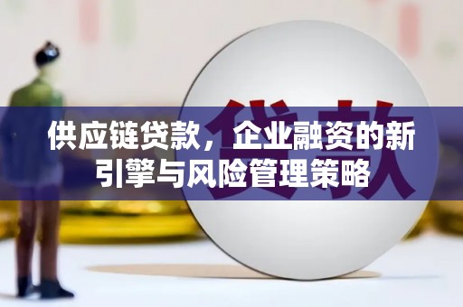 阿城供应链贷款，企业融资的新引擎与风险管理策略