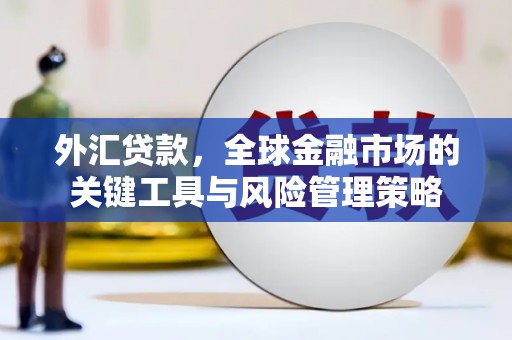 阿城外汇贷款，全球金融市场的关键工具与风险管理策略