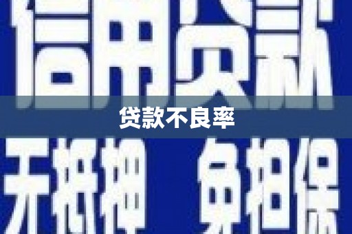 阿城贷款不良率
