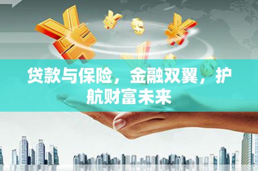阿城贷款与保险，金融双翼，护航财富未来