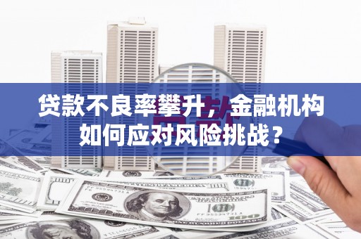 阿城贷款不良率攀升，金融机构如何应对风险挑战？