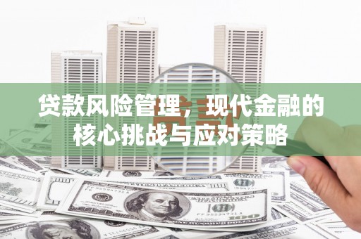 阿城贷款风险管理，现代金融的核心挑战与应对策略