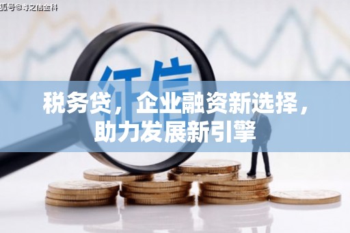 阿城税务贷，企业融资新选择，助力发展新引擎