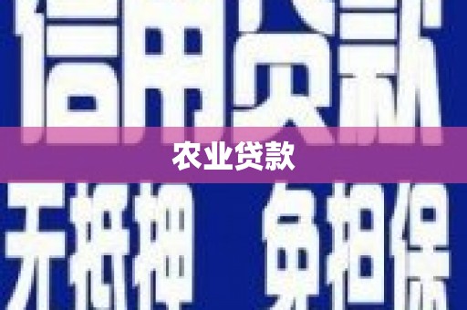 阿城农业贷款