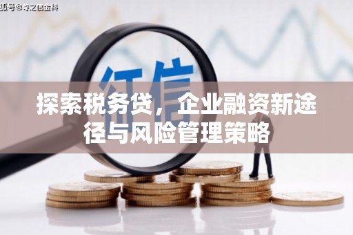阿城探索税务贷，企业融资新途径与风险管理策略