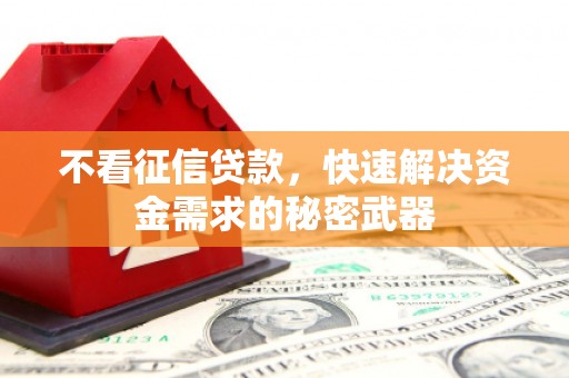 阿城不看征信贷款，快速解决资金需求的秘密武器