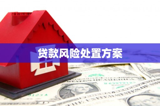 阿城贷款风险处置方案