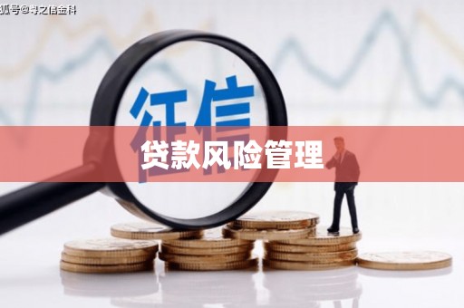 阿城贷款风险管理