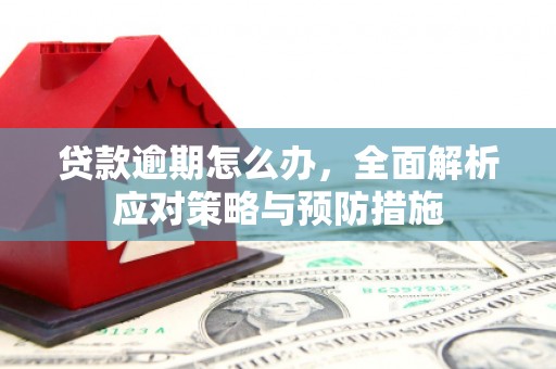 阿城贷款逾期怎么办，全面解析应对策略与预防措施