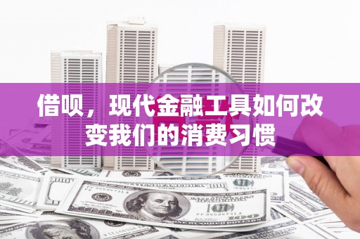 阿城借呗，现代金融工具如何改变我们的消费习惯