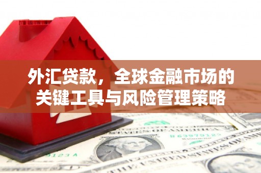 阿城外汇贷款，全球金融市场的关键工具与风险管理策略