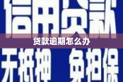 阿城贷款逾期怎么办