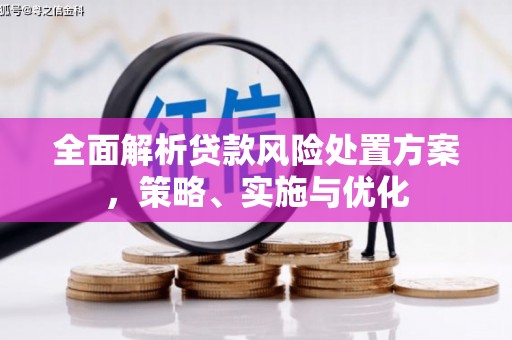 阿城全面解析贷款风险处置方案，策略、实施与优化