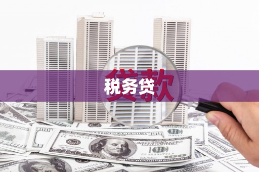 阿城税务贷