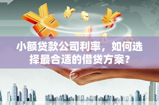 阿城小额贷款公司利率，如何选择最合适的借贷方案？