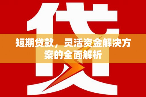 阿城短期贷款，灵活资金解决方案的全面解析