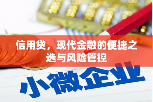 阿城信用贷，现代金融的便捷之选与风险管控