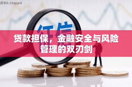 阿城贷款担保，金融安全与风险管理的双刃剑