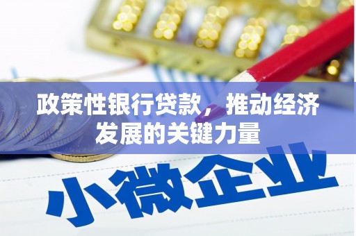 阿城政策性银行贷款，推动经济发展的关键力量