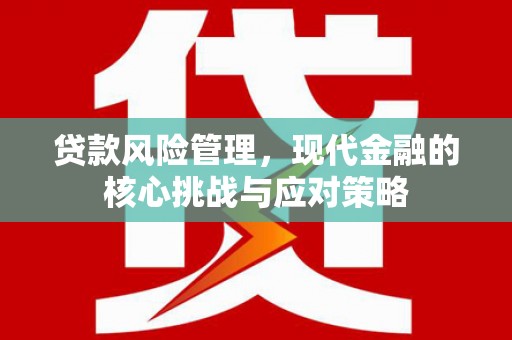 阿城贷款风险管理，现代金融的核心挑战与应对策略