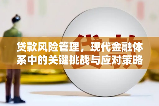 阿城贷款风险管理，现代金融体系中的关键挑战与应对策略