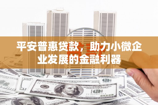 阿城平安普惠贷款，助力小微企业发展的金融利器
