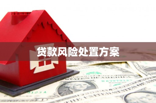 阿城贷款风险处置方案