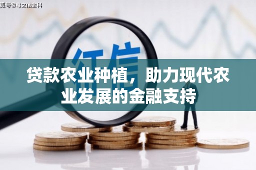 阿城贷款农业种植，助力现代农业发展的金融支持
